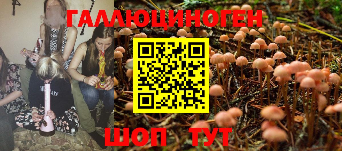 Псилоцибиновые грибы мухоморы Кыштым